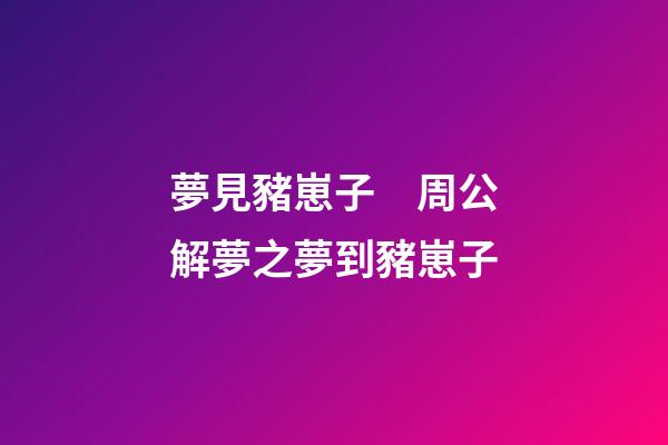 夢見豬崽子　周公解夢之夢到豬崽子